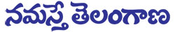 Namasthe Telangana (Telugu)